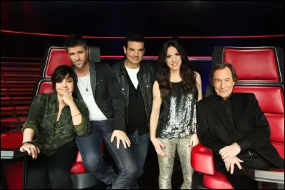 Quelle était la chanson des coachs de la toute première saison de "La Voix 2013" ?