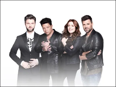 Comment était composé le quatuor des finalistes de "La Voix 2017" ?