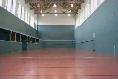 Laquelle de ces fleurs est l'emblème du Michigan ?