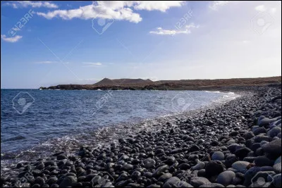 Mon premier se met aux pieds pour la plongée.
Mon deuxième est la neuvième lettre de l'alphabet.
Mon troisième est le verbe ''être'' conjugué au présent. 
Mon tout est un arbre de plage.