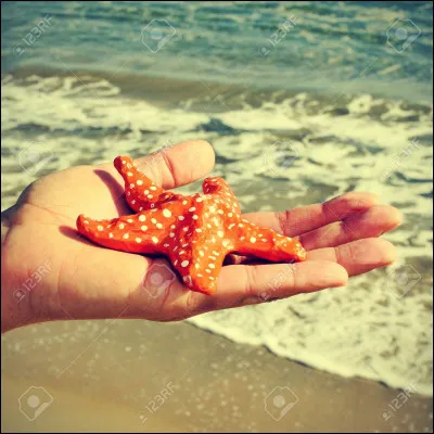 Mon premier est un animal possédant des bois.
Mon deuxième est le contraire de ''mort''.
Mon troisième est la moitié du mot ''boulette''.
Mon tout te servira après la baignade.