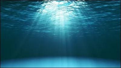 Mon premier désigne une faute d'orthographe dans le milieu de l'imprimerie.
Mon second est le nombre d'années que tu as.
Mon tout peut se trouver sur le sable.