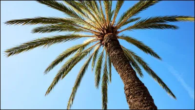 Mon premier est ce que l'on dit lorsque l'on aime pas.
Mon second est un déterminant possessif.
Mon tout vit dans l'eau.