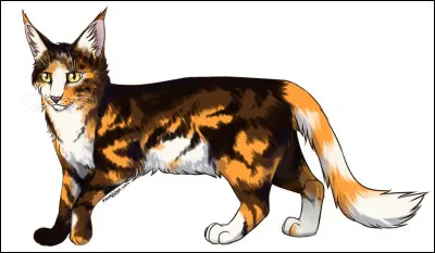 Quel est son nom de chaton ?