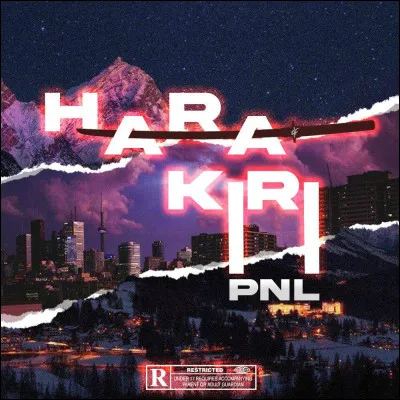 ''PNL'' est le nom d'un groupe de rap et non d'un rappeur seul.