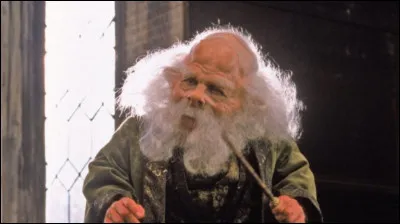 En quelle année le professeur Filius Flitwick apprend-il aux élèves le sortilège de Lévitation, Wingardium Leviosa ?
