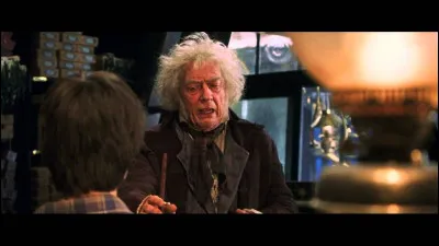 Quel est le métier de Garrick Ollivander ?