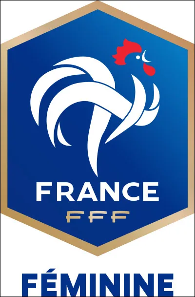 Qui est l'entraîneur de l'équipe de France féminine ?
