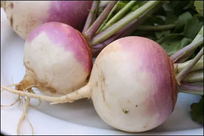 Comment s'appelle ce l&eacute;gume ?