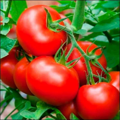 Comment s'appelle ce fruit ?