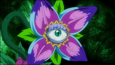 Dans "Fairy Tail" lequel de ces personnages n'utilise pas une magie en rapport avec les plantes ?