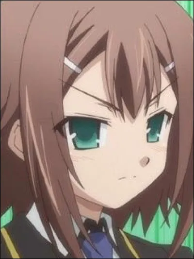 Hideyoshi Kinoshita est un personnage de l'animé "Baka To Test To Shoukanjuu", mais est-ce une fille ou un garçon ?