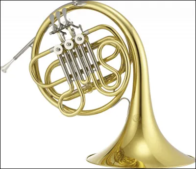 Quel est le nom de cet instrument de musique ?