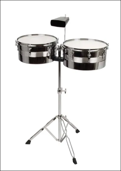 Quel est le nom de ces instruments de musique ?