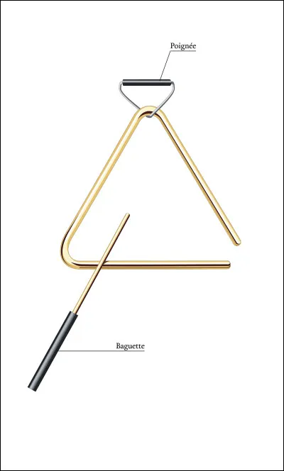 Quel est le nom de cet instrument de musique ?