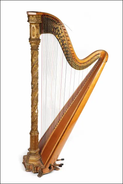 Quel est le nom de cet instrument de musique ?