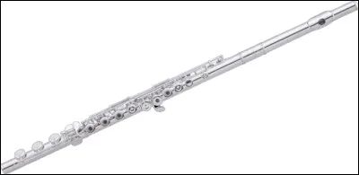 Quel est le nom de cet instrument de musique ?