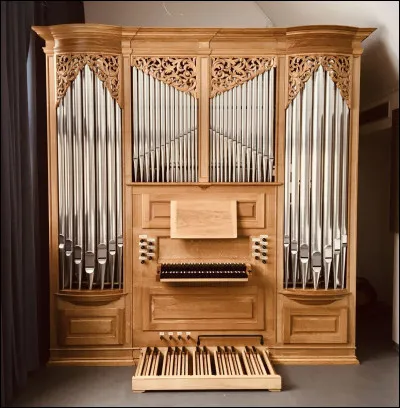 Quel est le nom de cet instrument de musique ?