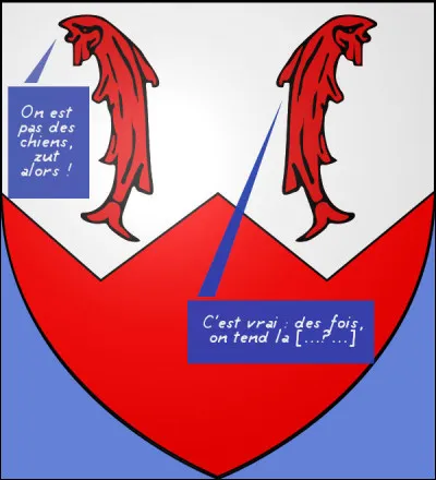 On ne le dirait pas comme ça, mais ces animaux-là ont une vraie conscience de la vie sociale. Qu'en dites-vous ?