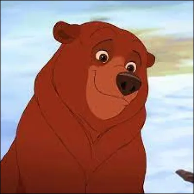 Comment s'appelle ce frère des ours ?