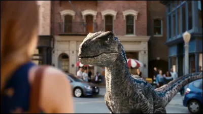 Comment s'appelle cette vélociraptor ?