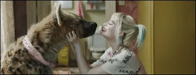 Comment se nomme la hyène de Harley Quinn dans ''Birds of Prey'' ?