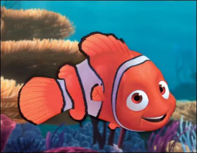 Comment s'appelle ce poisson-clown ?