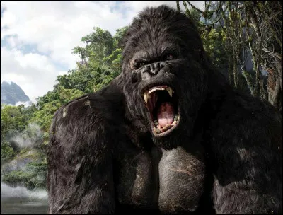 Comment s'appelle cet énorme gorille ?