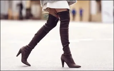 Quel est le nom de ce type de bottes qui montent au dessus du genou ?