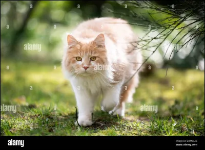 Tu préfères t'appeler :