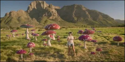 À quelle chanteuse doit-on le titre ''Air Balloon'' sorti en 2014 ?