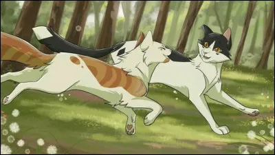 Dès que tu as été nommé apprenti, tu as voulu...