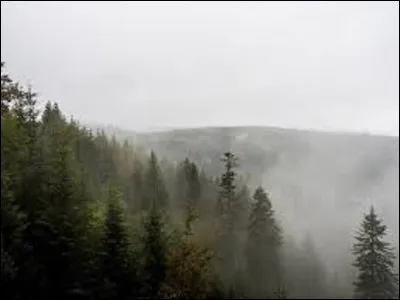 Dans quel Land allemand se situe la Forêt-Noire ?