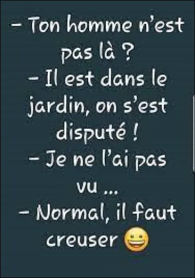 On termine ce quiz par un trait d'humour noir. 
Quel humoriste a dit : ''La grippe, ça dure huit jour, si on la soigne. Et une semaine, si on ne fait rien.'' ?