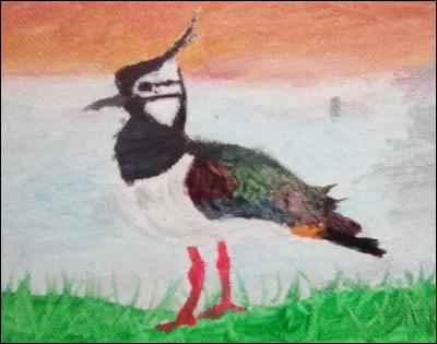 Quel est cet oiseau ?