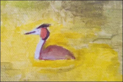 Comment s'appelle cet oiseau ?