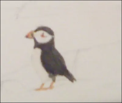 Pour conclure, ceci est :