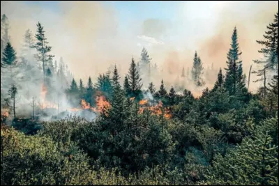 Dans quel pays retrouvons-nous de très importants incendies ingérables dans les forêts depuis le mois de mai, et avec un bilan actuel de 10 millions d'hectares brûlés ?