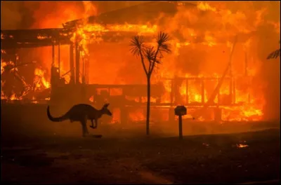 Des incendies violents et incontrôlables ont eu lieu en Australie il y a de cela quelques années. Cela a eu lieu durant la période...