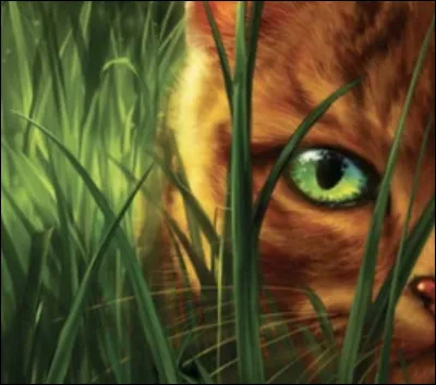 Dans quelle série littéraire retrouve-t-on un chat nommé Étoile de Feu ?