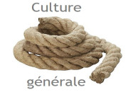 Quiz La culture gnrale tient la ''corde''