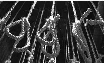 Quel nom donne-t-on à un collectionneur de cordes destinées à la pendaison ? (Si, si tout existe)