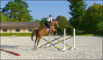 Comment s'appelle-t-il ?