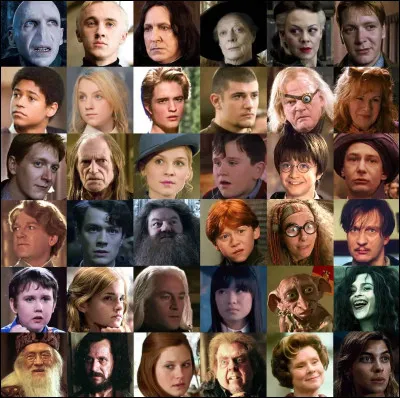 Quel personnage de Harry Potter est Cancer ?