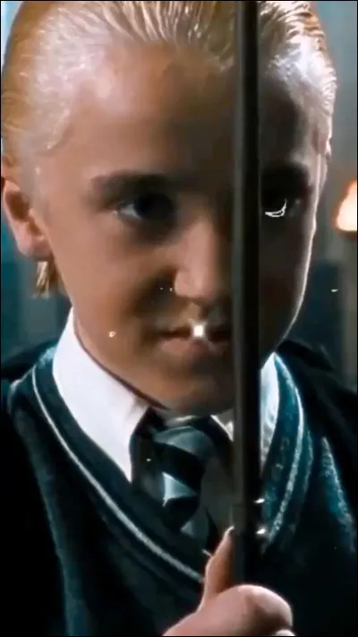 Quel élément y a-t-il dans la baguette de Drago ?