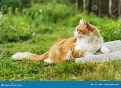 Même question. Quel était ton résultat au précédent test ?