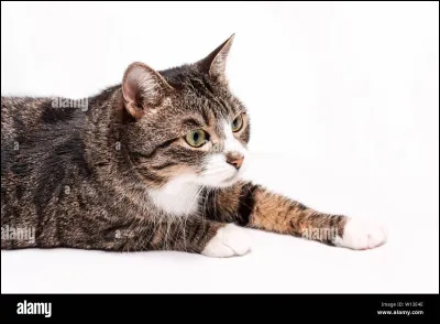 Même question. Quel était ton résultat au précédent test ?