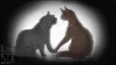 Avec quoi voudrais-tu que ton nom ait un rapport ?