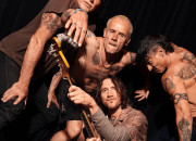Quiz Quiz Red Hot Chili Peppers