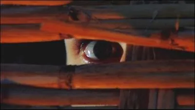 De quel sous-genre d'horreur La baie sanglante ft-il un des pionniers ?